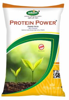 Protein Power